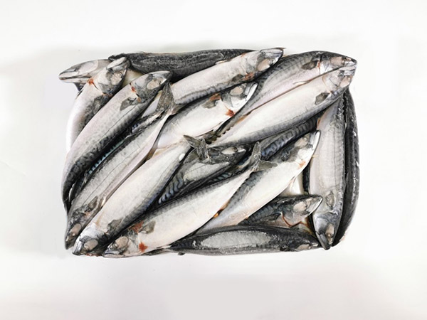 Скумбрия с/м н/р 400-600 / Китай/10 кг